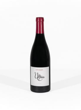 ULTREIA SAINT JACQUES BIERZO