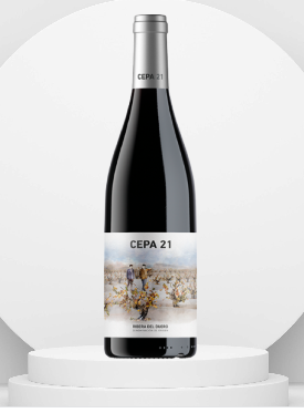 CEPA 21 RIBERA DEL DUERO
